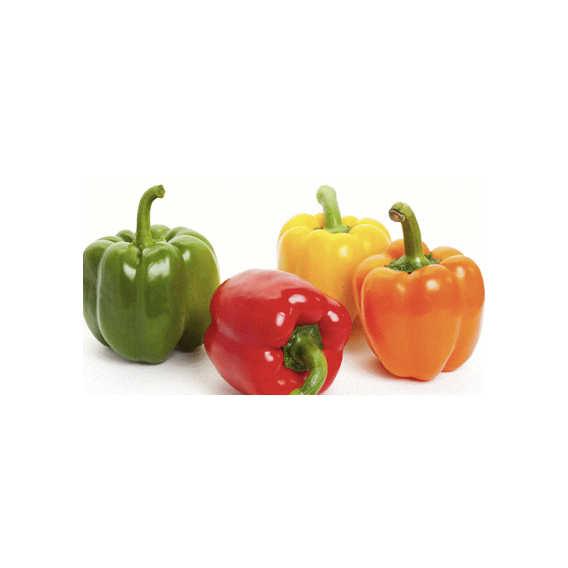 
Wholesale fresh capsicum square sweet red whole pepper price 
