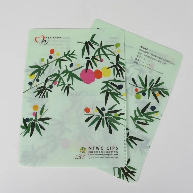 Рекламная Заказная Толстая пластиковая папка для файлов A4 PP с прозрачным карманом