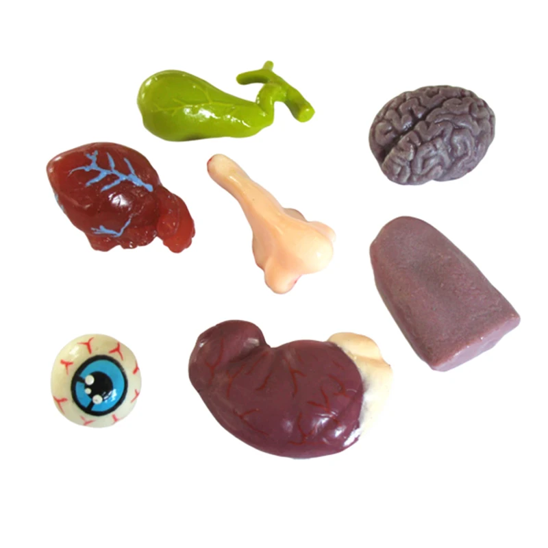 Human Anatomical Lung Model Sticky or Non-Sticky Toys TPR Material Medical Alveoli Model