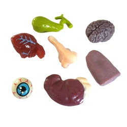 Human Anatomical Lung Model Sticky or Non-Sticky Toys TPR Material Medical Alveoli Model