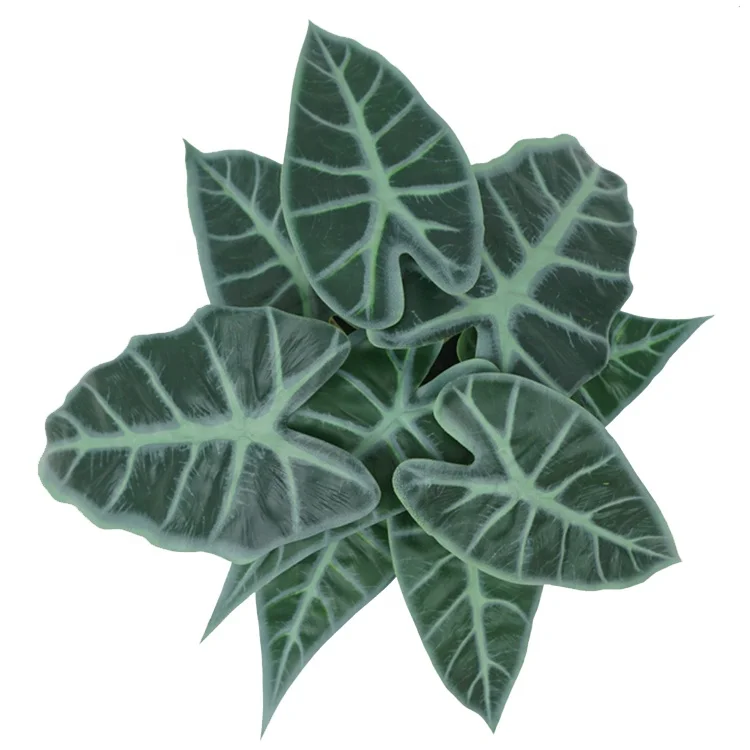 Factory sale simulation potted plants real touch 23 cm artificial aquatic Caladium in plastic pot for bonsai