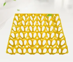 Eco-friendly Egg Carton Cheap Price 30 Holes Plastic Egg Packing Tray