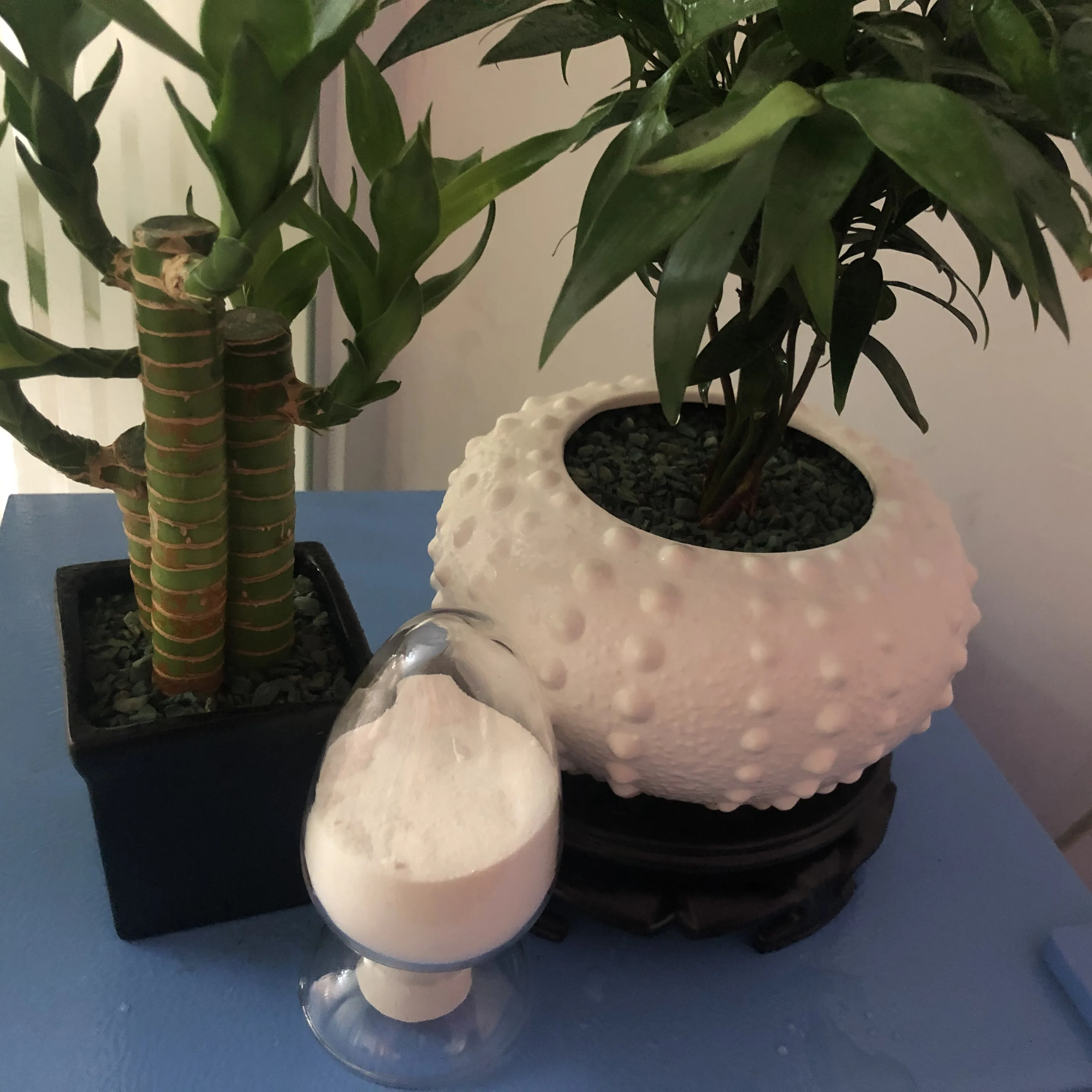 
Low price Spermidine CAS 124-20-9 