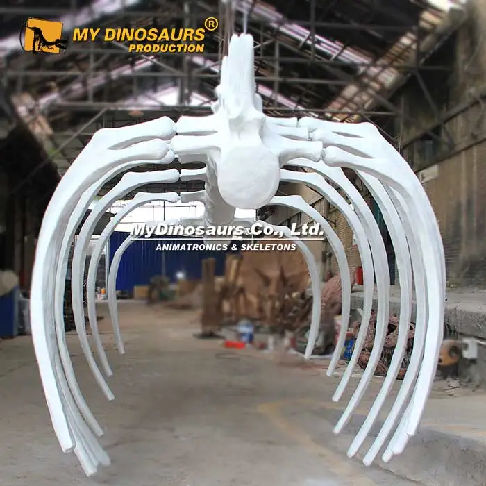 Realistic Animal Fossil Ribcage Hall Skeleton Decoration
