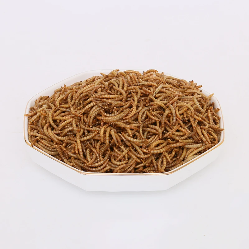 High-quality protein dry mealworm animal feed reptile protein dried mealworm