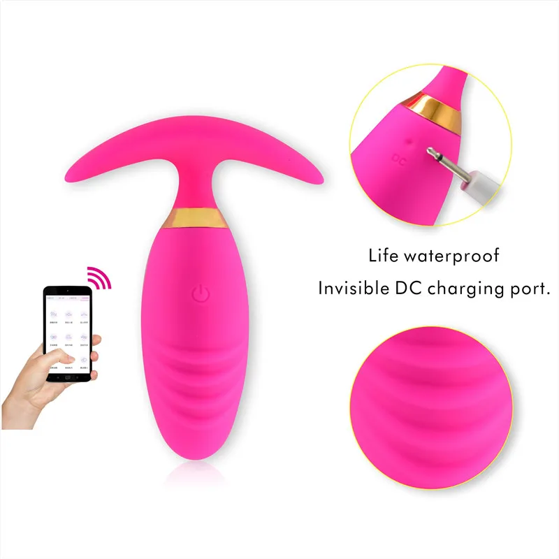 Seksfun App Vaginal Anal Toy Wearable Remote Controlled Vibrator Bluetooth Butt Plug For Women