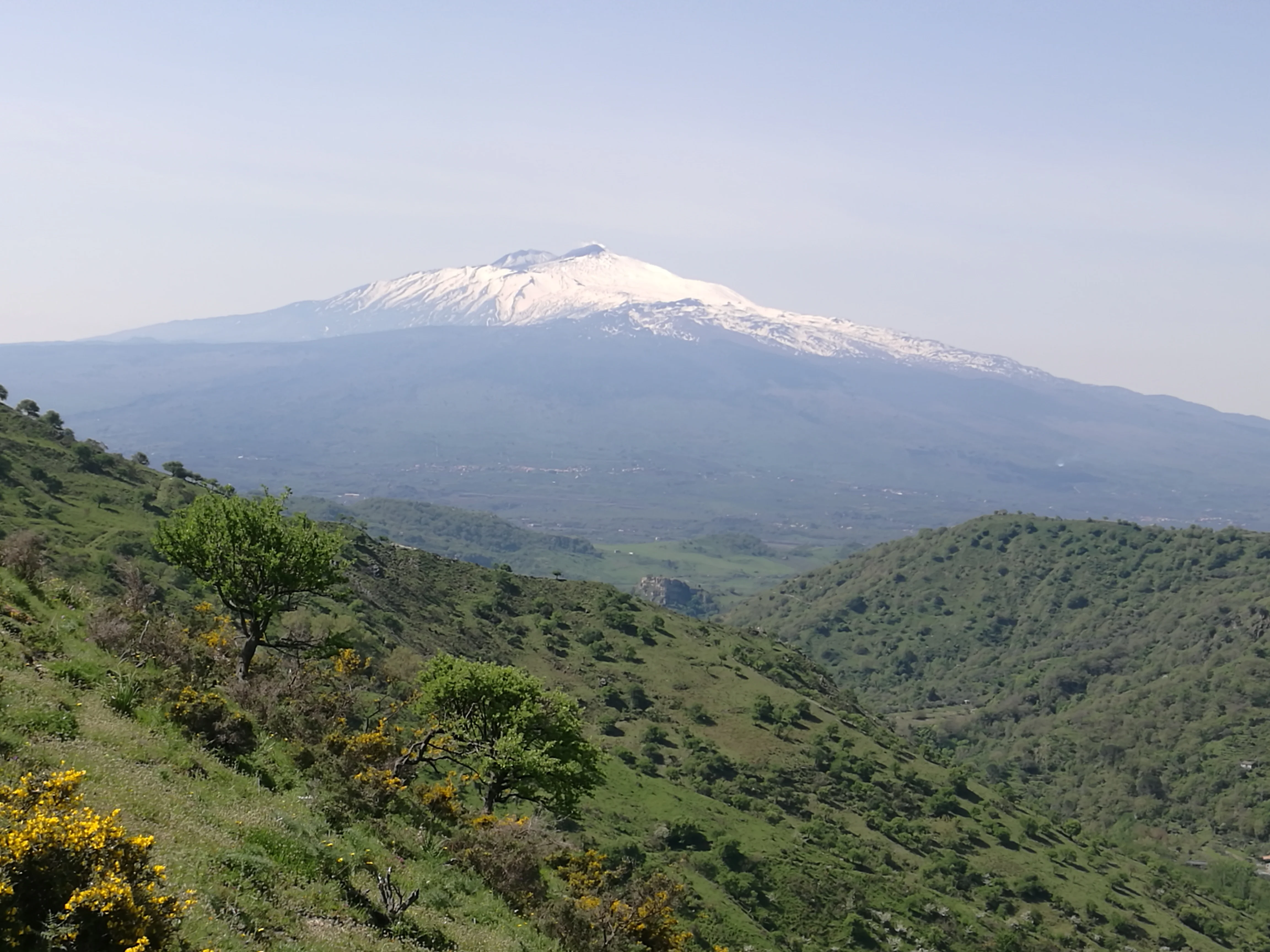 
Etna Wine Tasting Half Day Excursion 