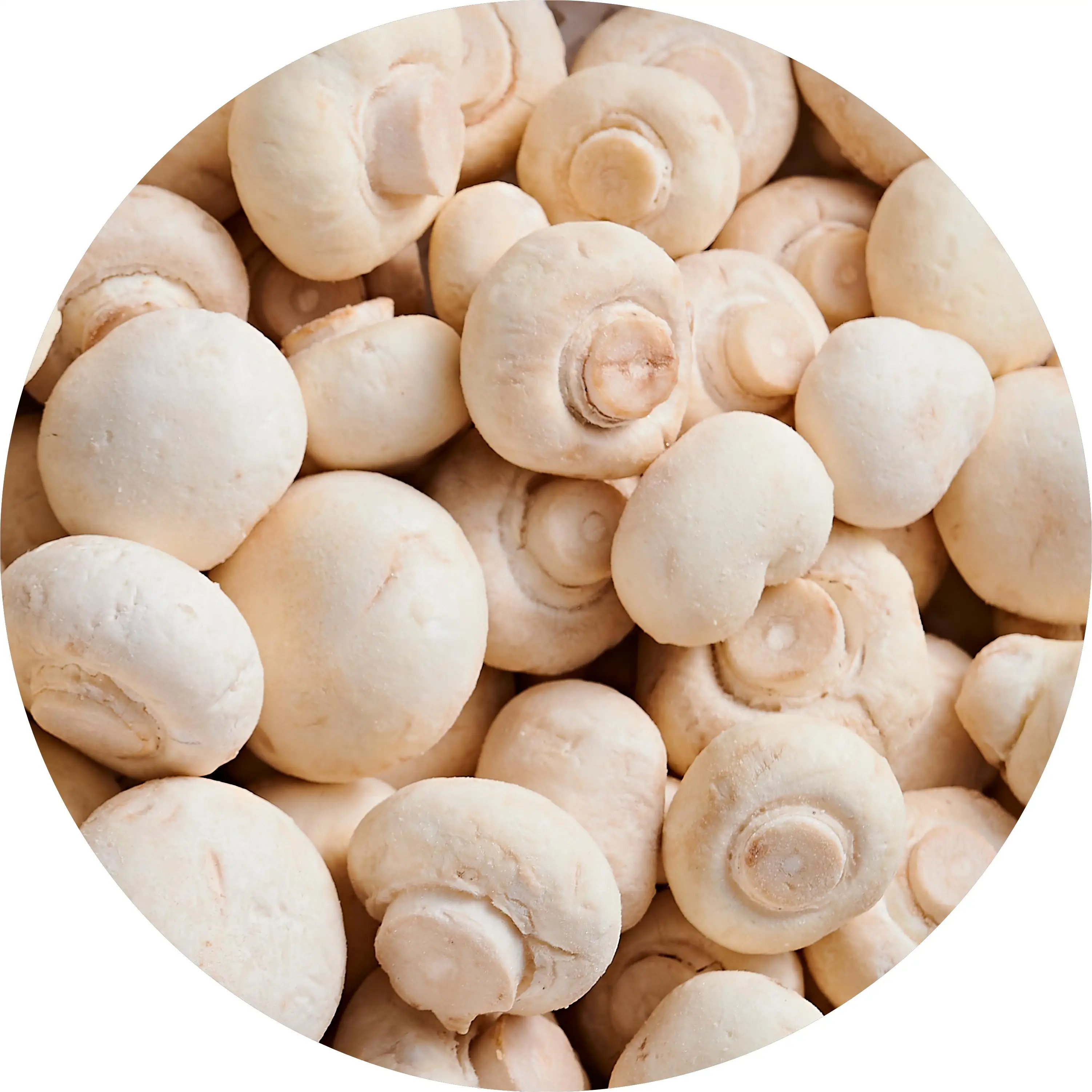 Frozen IQF Fresh Best White Champginon Button Mushroom Spawn Agaricus Bisporus Mushroom organic Freezing Bulk Wholesale price