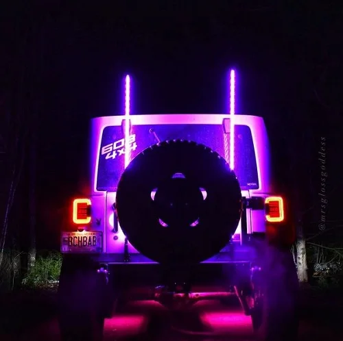 Loyo waterproof 360 degree spiral led light whip bar flag antenna for UTV Offroad lamp Control by App or Remote rgb whip light