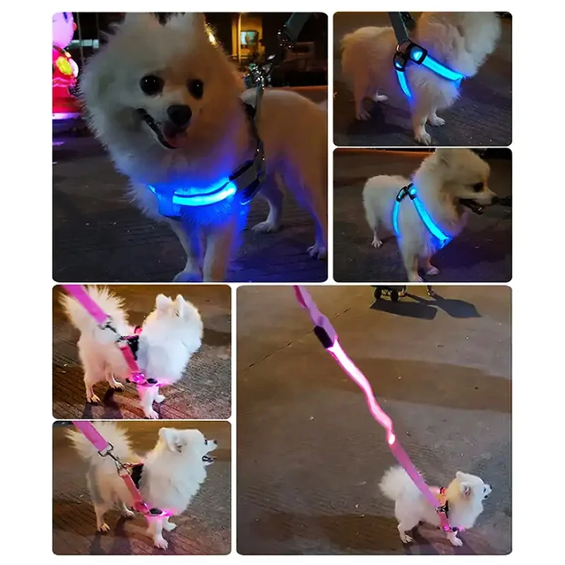 Wholesale Rechargeable Light Up Dog Belt Adjustable Vest Chest LED Pet Dog Harness
