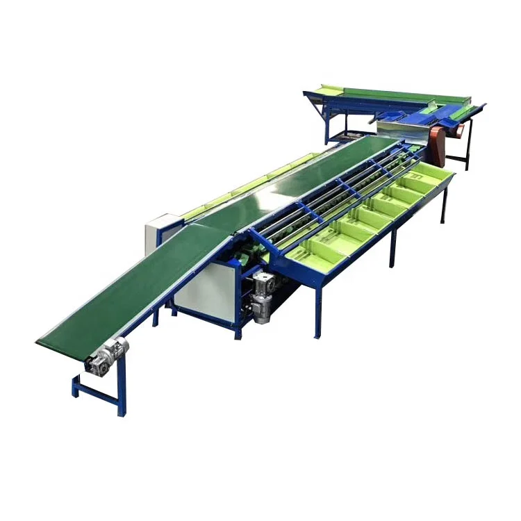 Commercial pitaya measuring machine by weight salable in Vietnam, popular sale pitaya grading weight measuring process line (1600110902449)