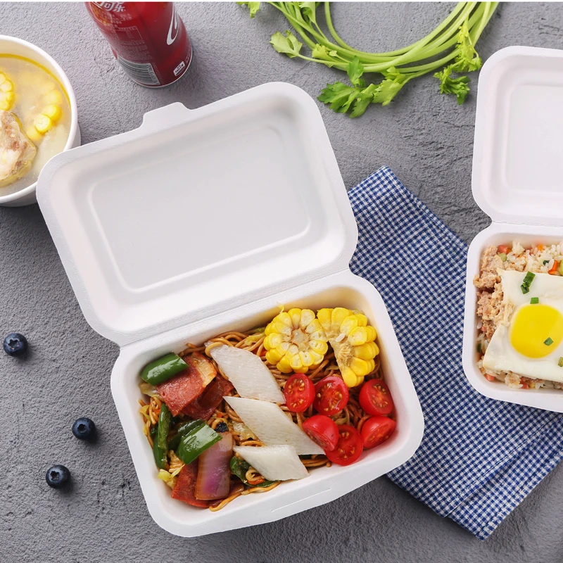 Eco-friendly Biodegradable Sugarcane Bagasse Pulp Molding Disposable Food Take Away Box To Go Lunch Box With Lid