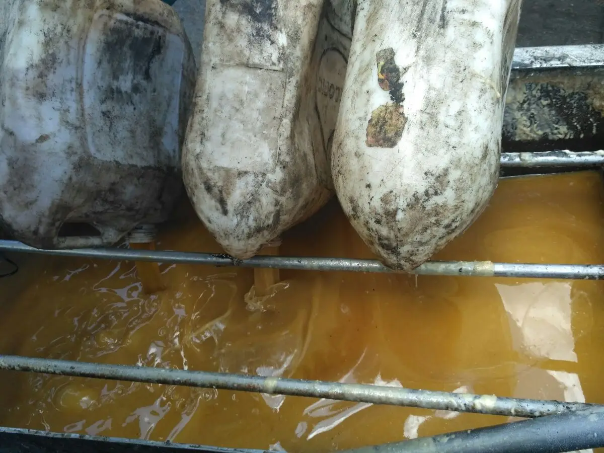 Fish Oil For Industrial , Pangasius Fish Oil For Animal Feed, Fish Fat Oil With Most Competitive From Vietnam