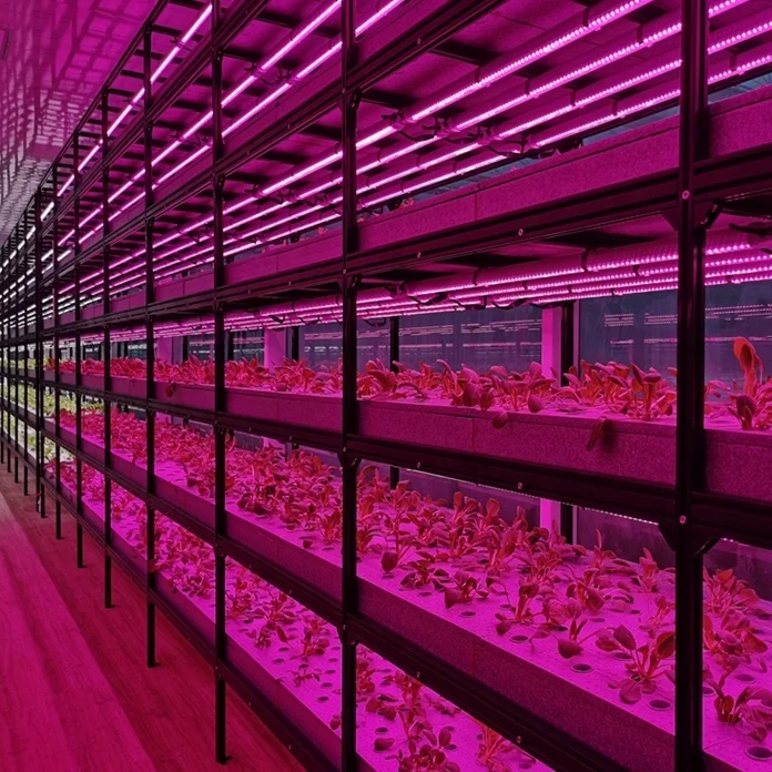 Vertical Hydroponics Container Vertical Farming Systems Commercial Greenhouses