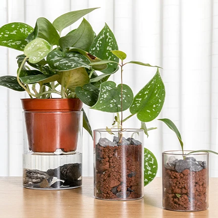 Горшки Yicai орхидеи с подносом, прозрачные Гидропонные контейнеры с отверстиями для посадки цветов, пластиковое прозрачное блюдцо, питательные чашки для выращивания