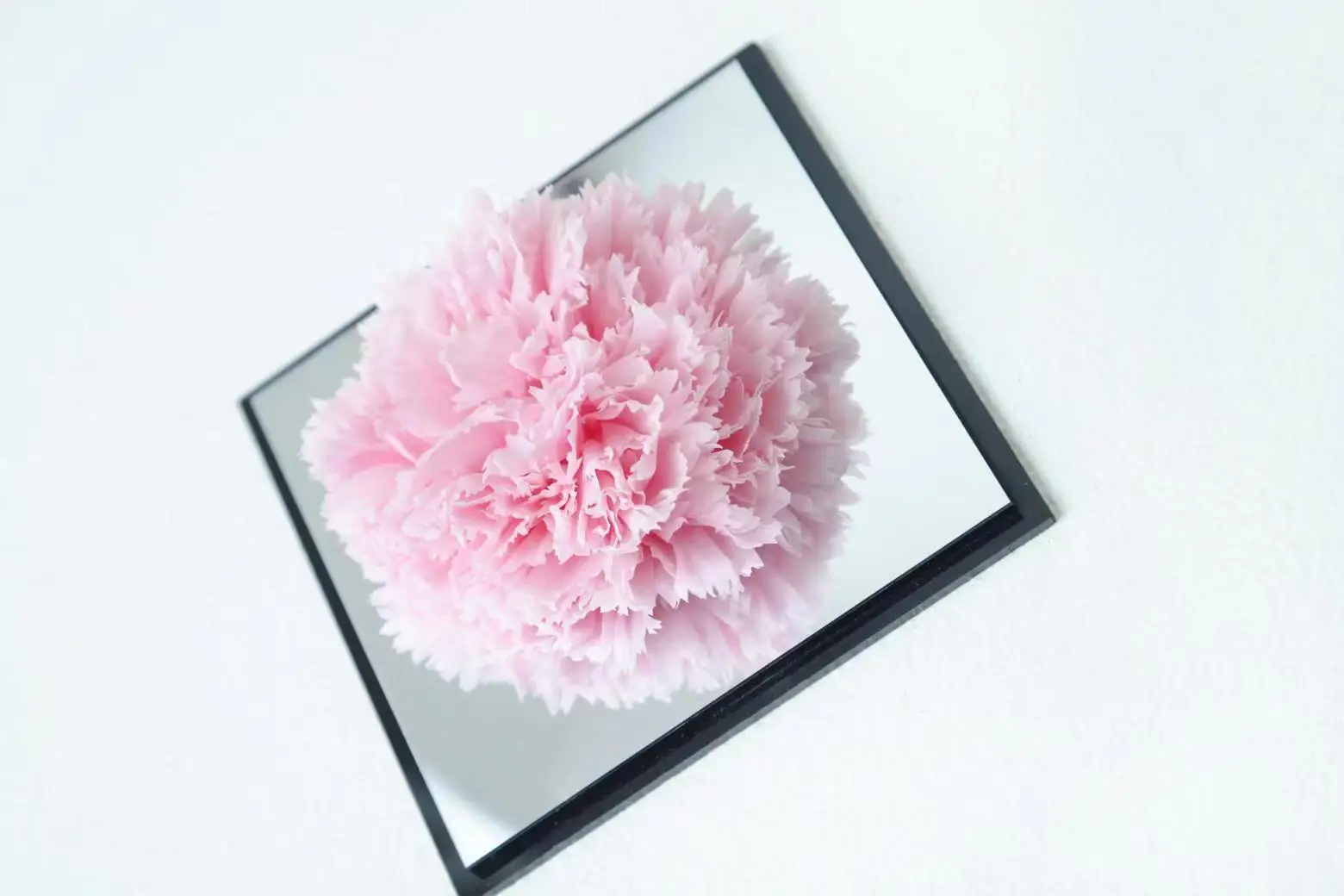 Beautiful Gift Forever Flower Preserved Flower Preserved Carnation Mirrored Acrylic Box