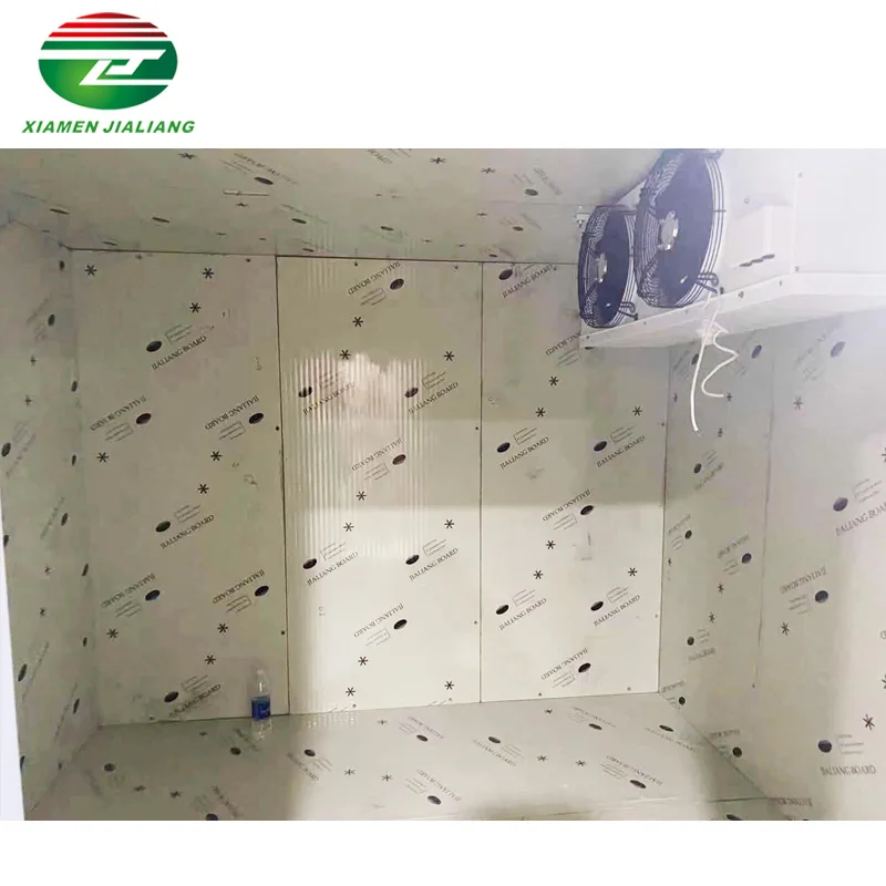 low temperature cold room Chiken cool room walk in freezer storage cold storage refrigeration