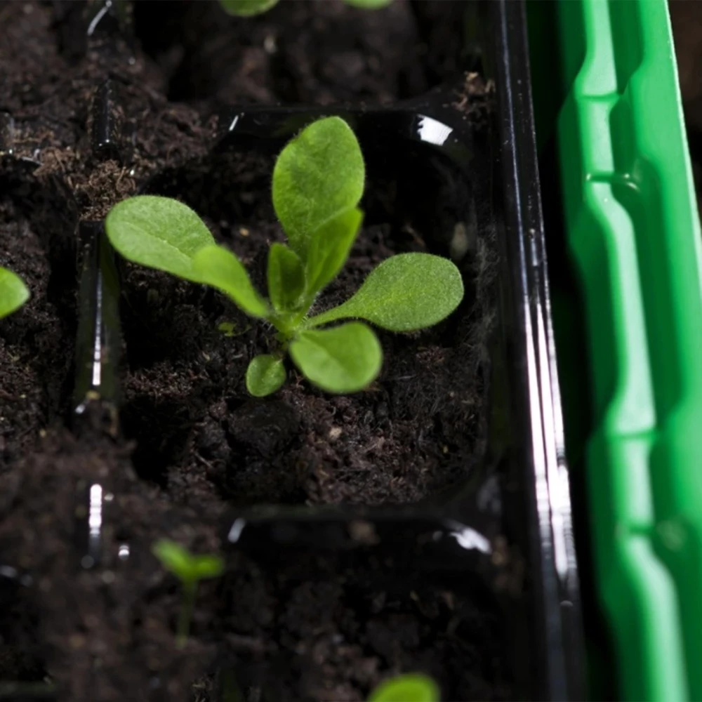 Nursery Greenhouse Seedling Starter Tray Starter Tray Kit With Dome Humidity Adjustable Seed Plant Starter Kit