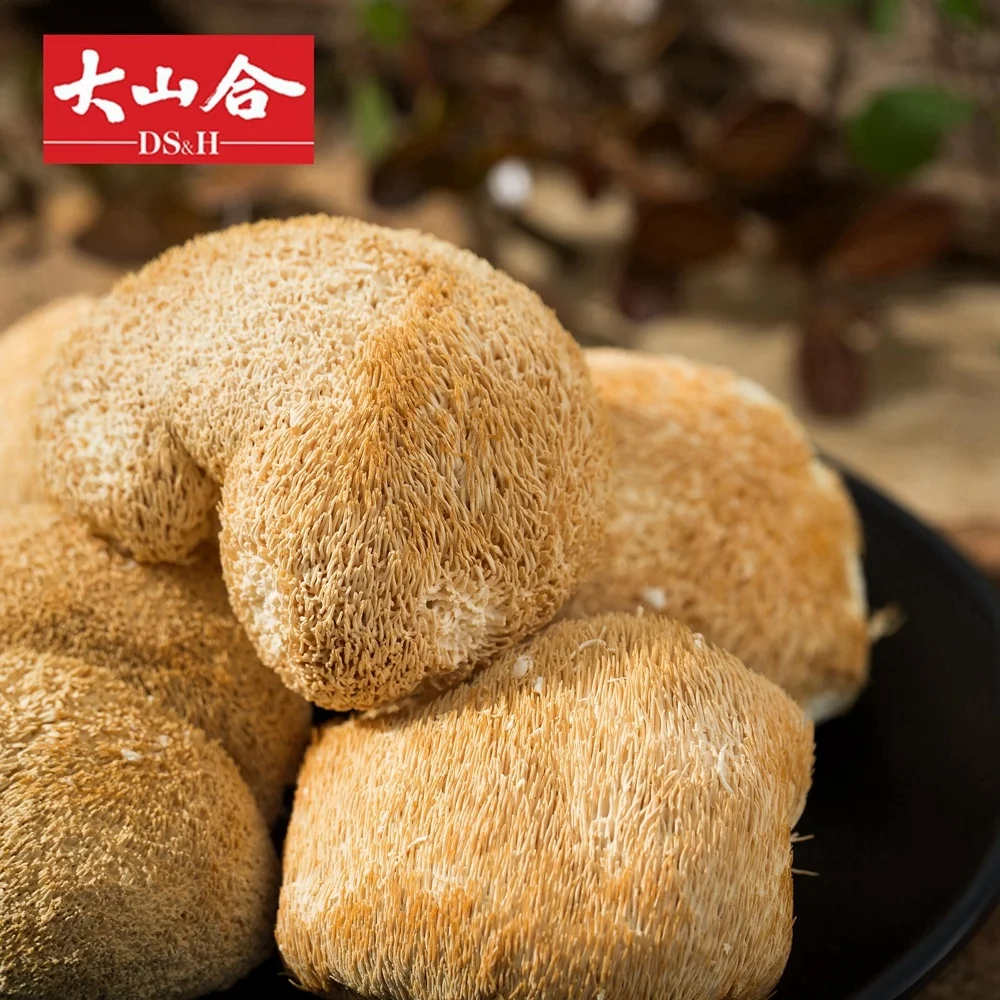 Натуральный высушенный Hericium грибы Hou Tou Gu