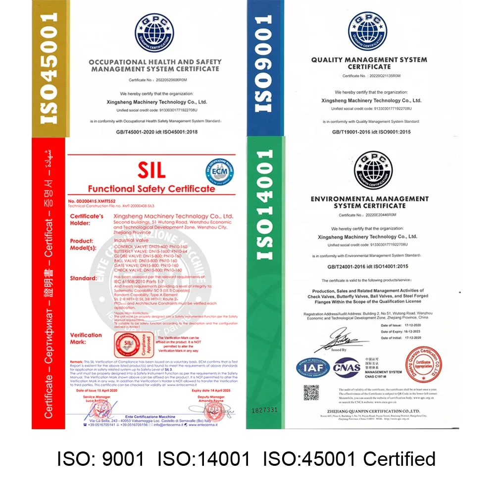 dn40 dn65 dn80 dn100 pn16 pn20 flange