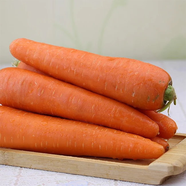 Shandong Fresh Carrot Cheap Price Chinese Fresh Carrots For Export Nutritious and Tasty China Fresh Vegetables