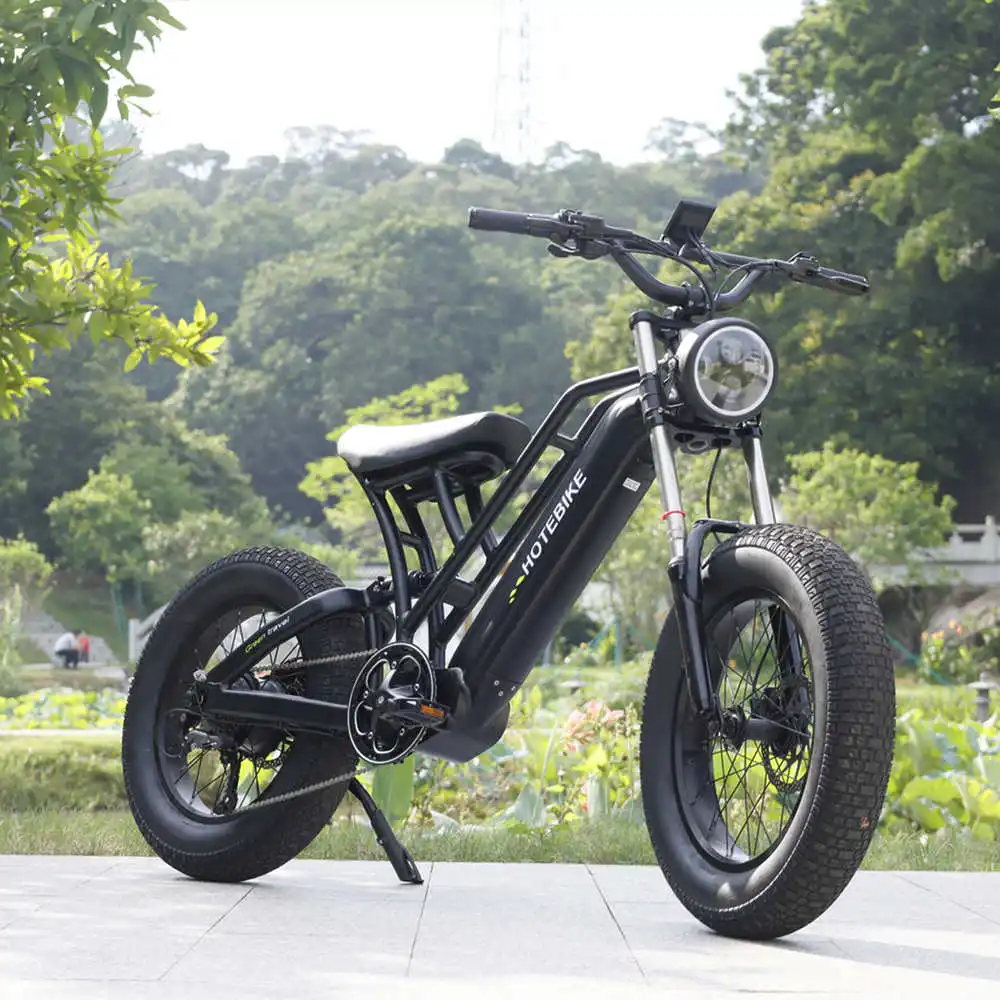 factory Outlet baycle bicycle electric city bike 500w e bikes electric mountain bike motorcycle750w  fat