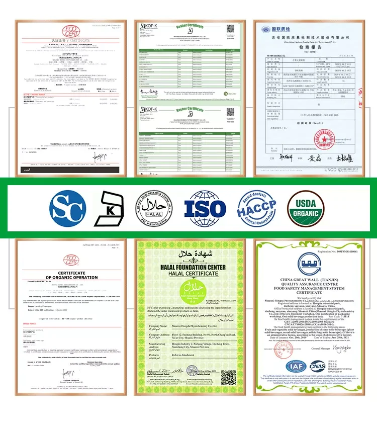 
China US Warehouse Stocks Supply Acetyl L Carnitine Powder 99% CAS 5080-50-2 Lose Weight 