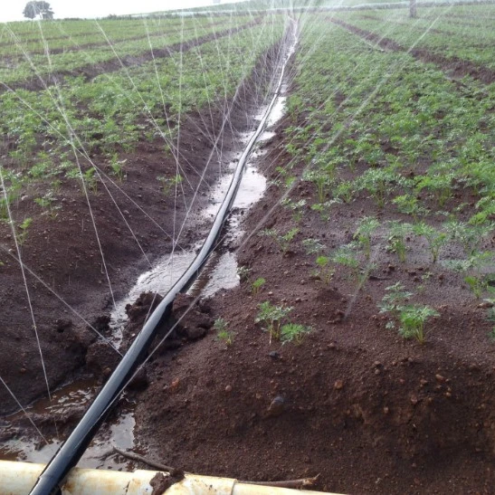 Irrigation Agriculture Sprinkler UV Resistant For System Plastic Material Hose rain agricultural Rain Spray Tube