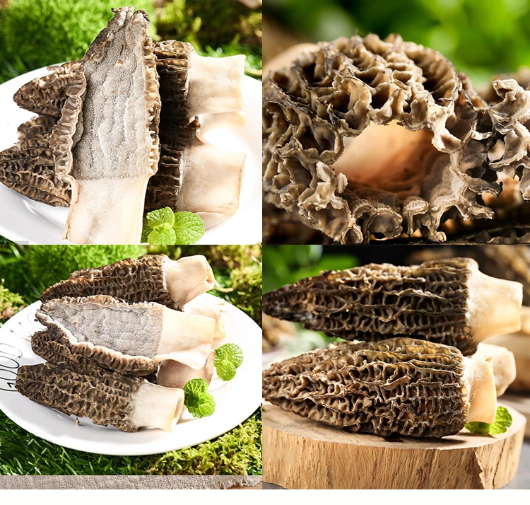 High quality Natural Grow Wild Morel Mushroom Dry Wholesale Price Morel Mushroom