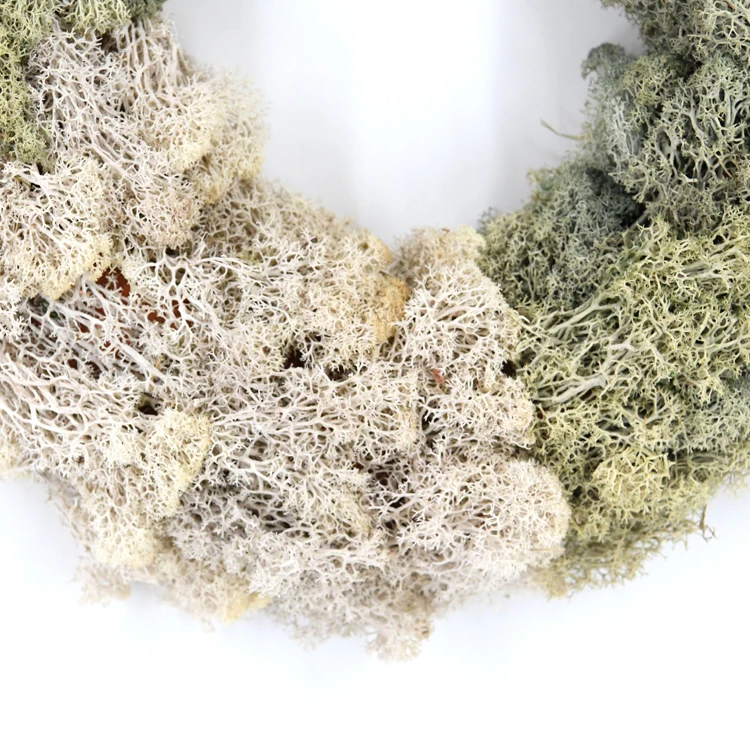 New design two colors spliced moss wreaths grayish green preserved moss garland natural moss wreath