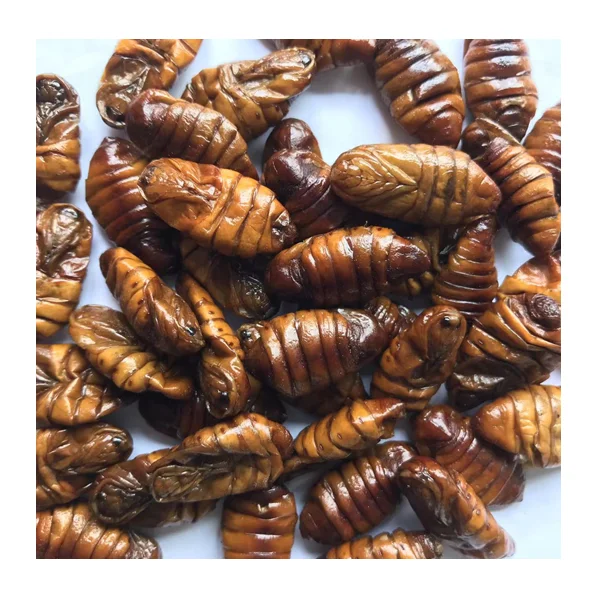 Eco Fresh Silkworm Pupae Insect Protein Animal Feed Edible Maggot