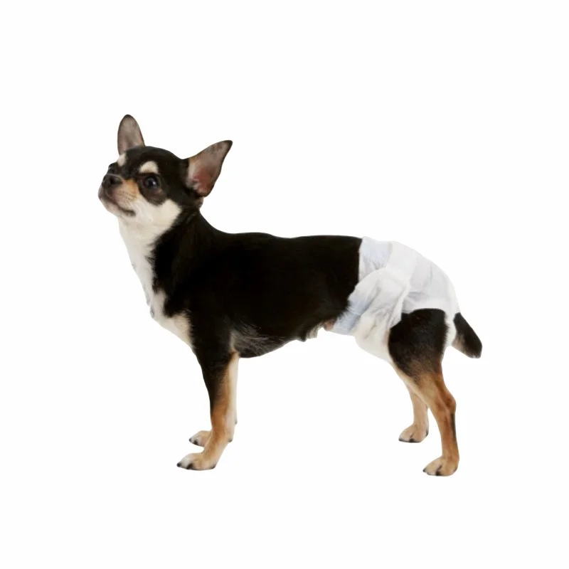 Wholesale Absorbent Diaper Dog Training Pee Urine Pads Belly Bands Thick Toilet Wet Mat Supplies For Pets Dog Cats Pet Diapers