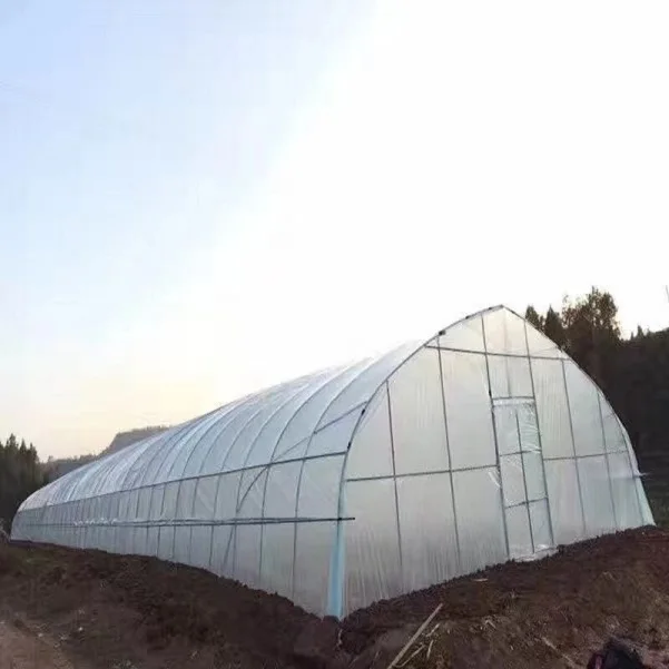  Распродажа Тепличный туннель для сельского хозяйства простая установка