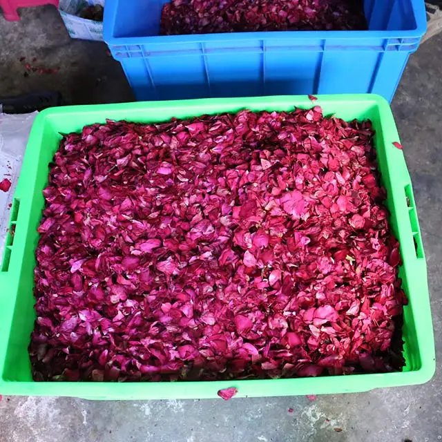 Wholesale Organic Dry Rose Flower Petals  Natural  Red Dried Petals Whitening Effect Bath Body Care