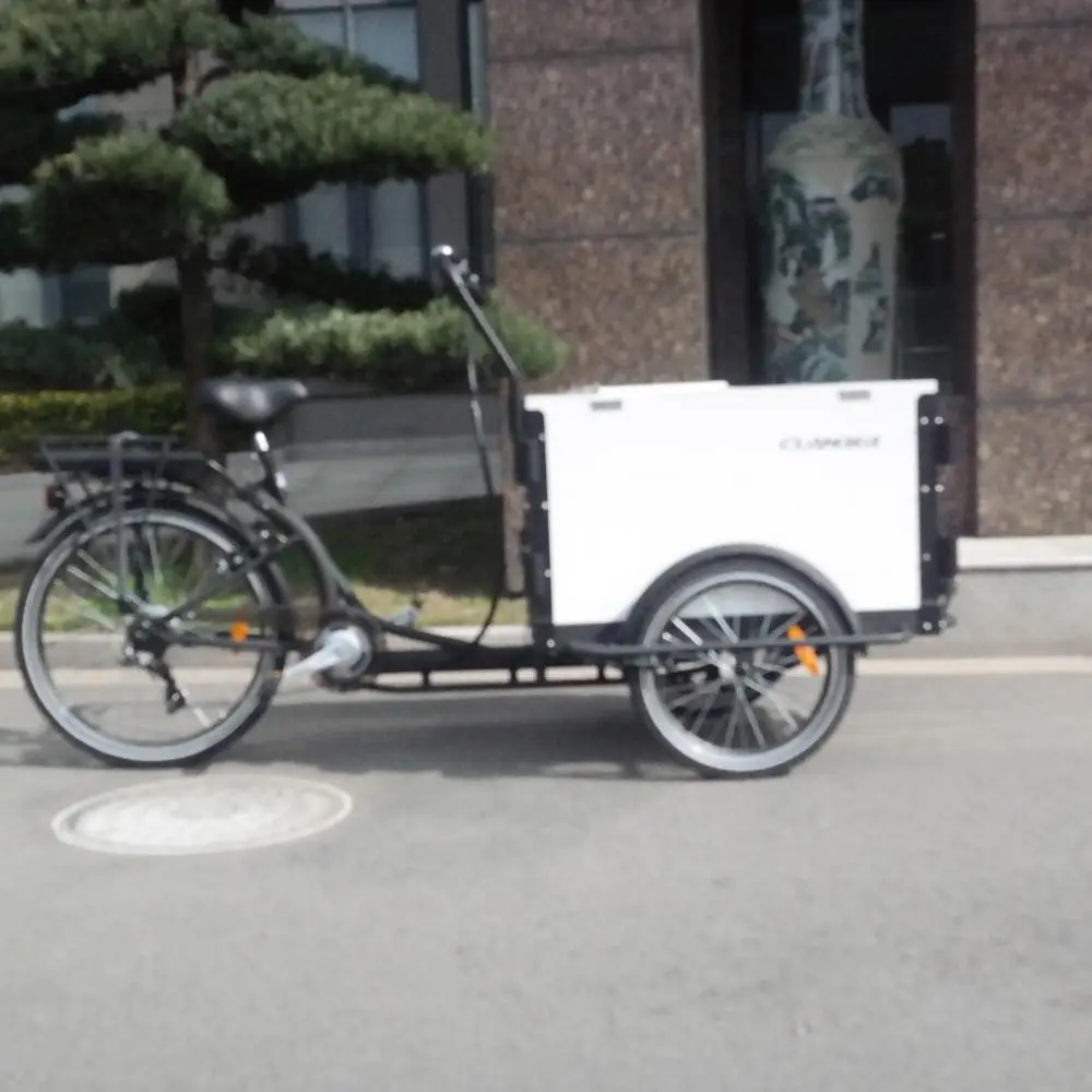 Electric cargo bike ice cream bike with front box loading for sale