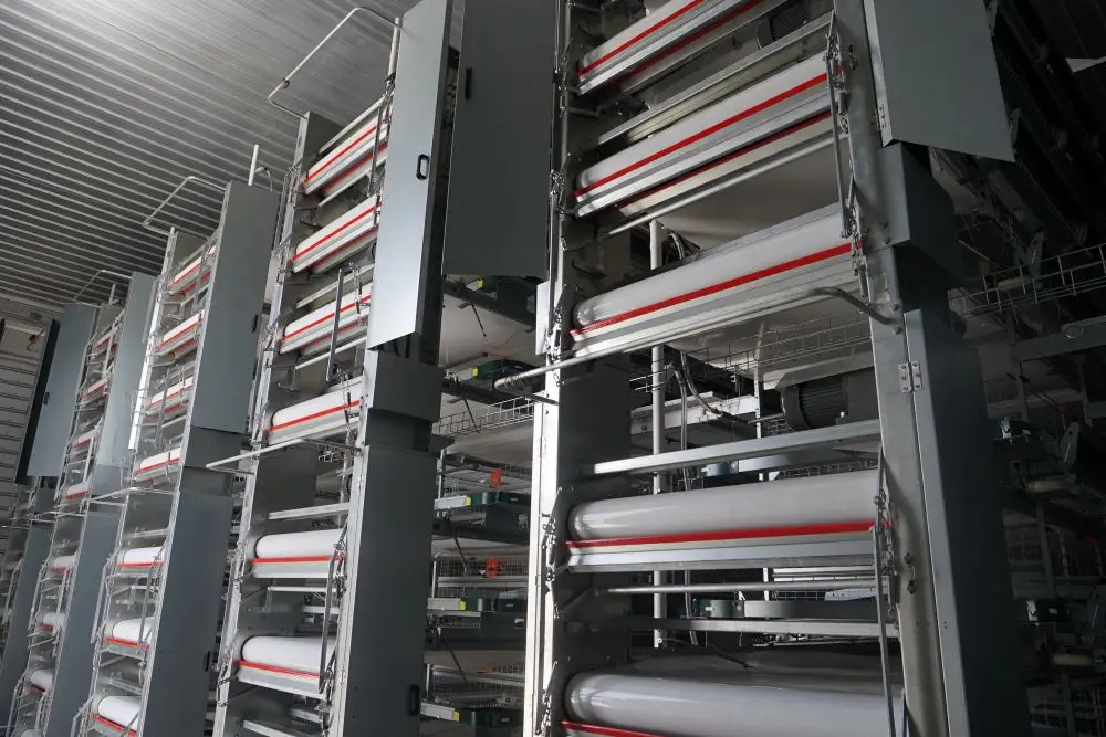 Automatic Poultry Cage Layer Poultry Farm  Automatic Battery Cage Automatic Poultry Layer  Equipment Jaula De Gallina Ponedora