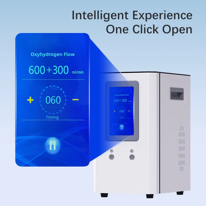 900ml/min hydrogen generator hydrogen breathing pem electrolyzer hydrogen generator h2 inhalation machine