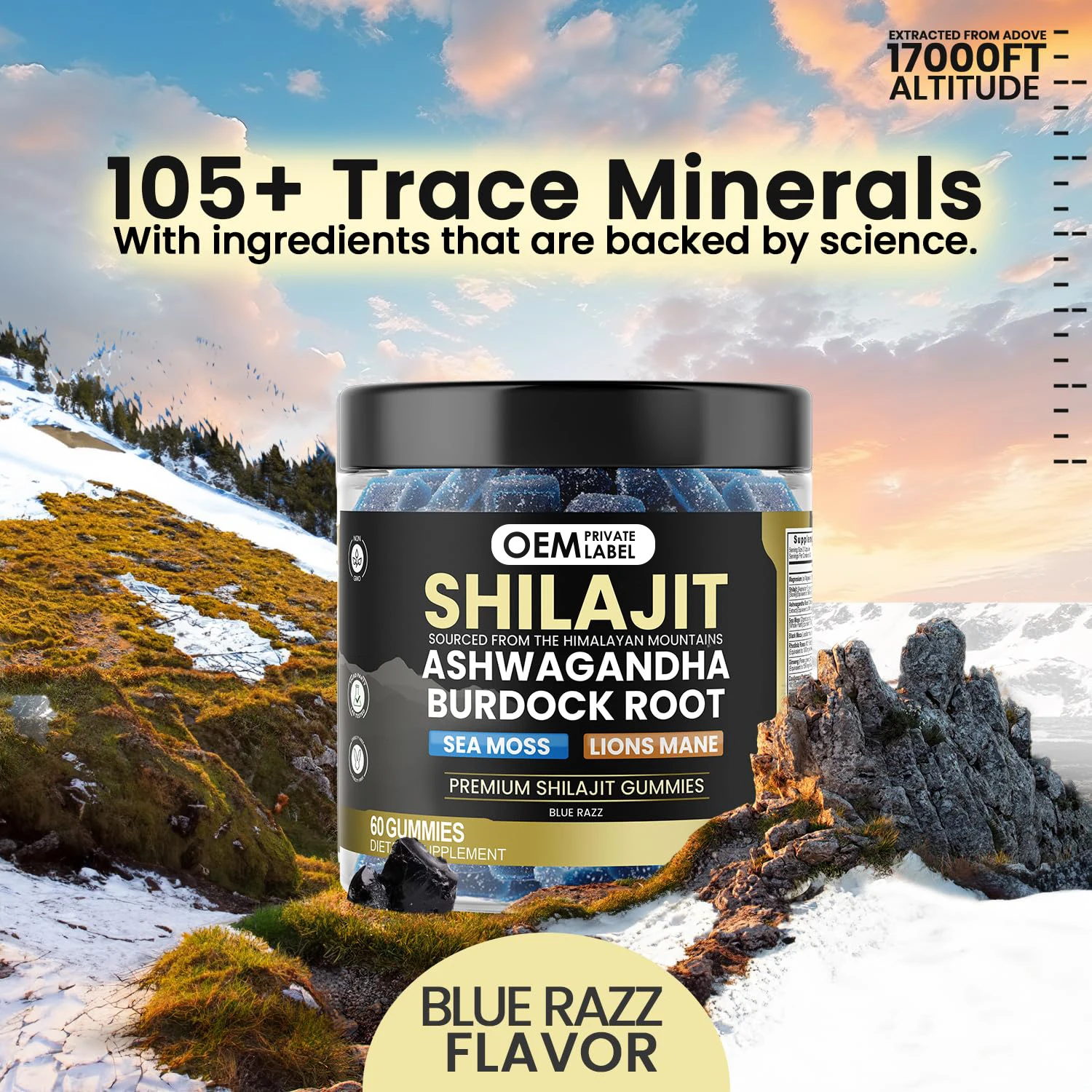 OEM Organic Shilajit Gummies 1500mg Sea Moss Ashwagandha Burdock Root Lions Mane Mushroom Vegan Himalayan Shilajit Gummies
