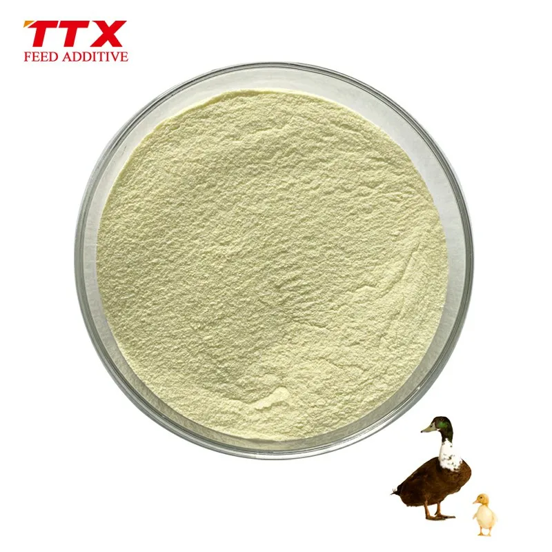 glucose oxidase enzyme for animal feed used for broiler
