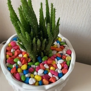 China Manufacturer Customizable Color Pebble Dyed Stones For Fish Tank Bottom Sand