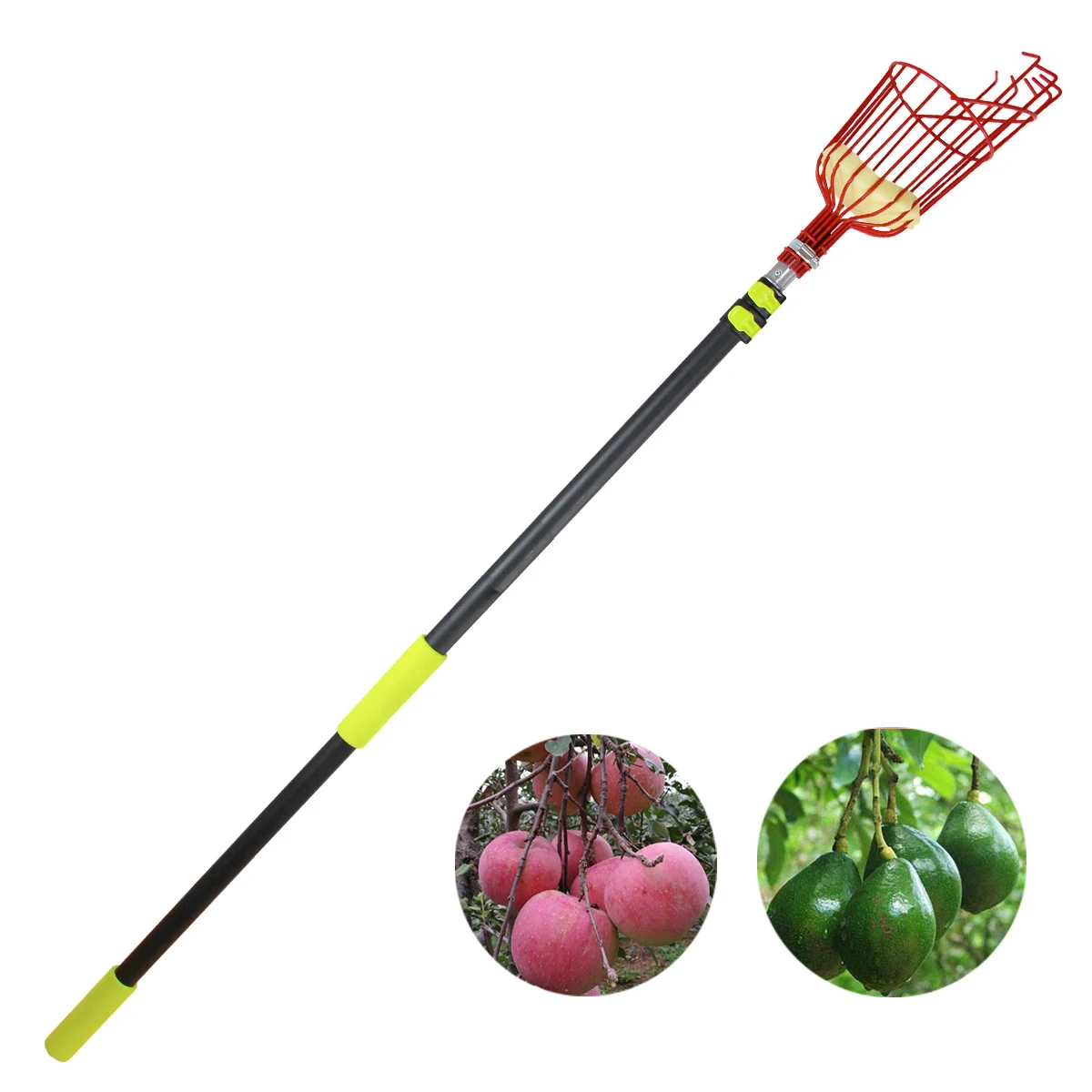 Extentool fruit picker pole garden pluck tool telescopic extention pole