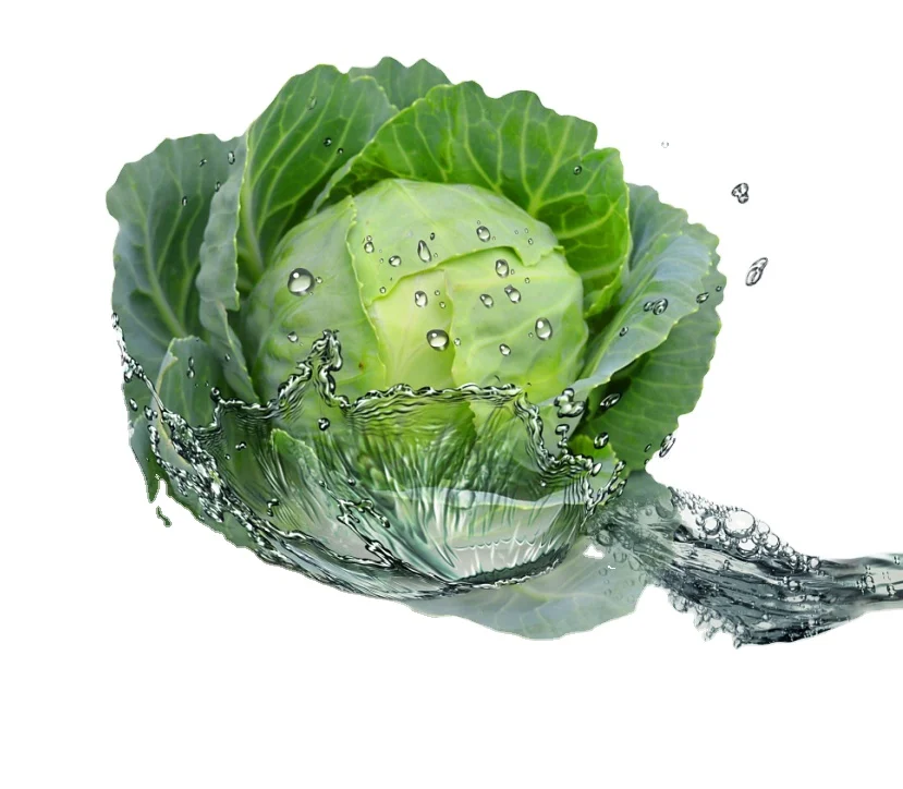 New Crop Chinese/china Fresh Cabbage Vegetables Good Quality Wholesale Low Price
