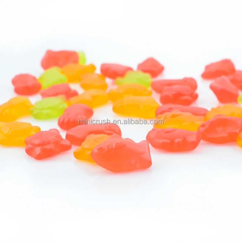 Fish Shape gummy candies manufacturers wholesale chewy candy fruit toy gummy candy