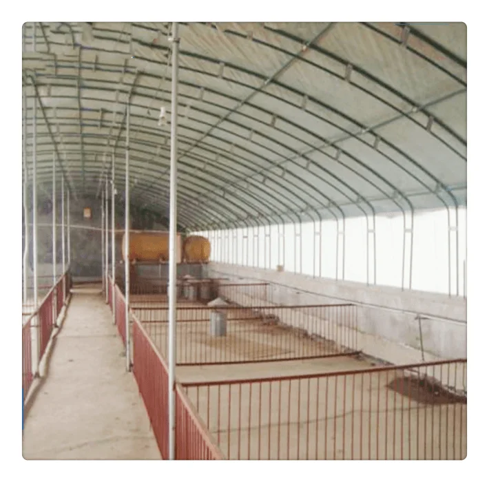 Wholesale cheap prefabricated dairy farm  sheep shed pig house design farm construction