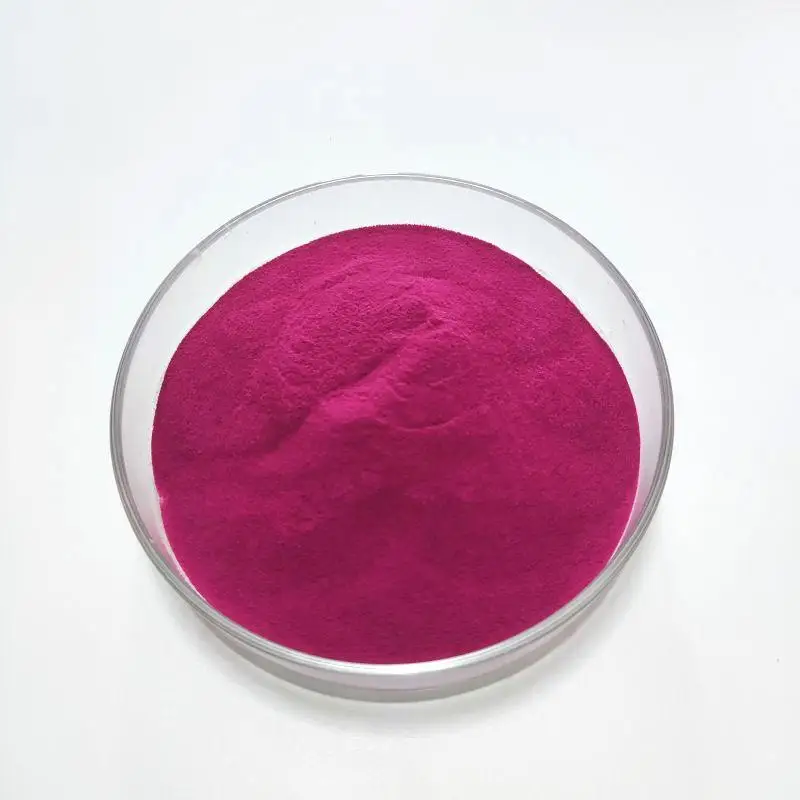 High Quality Organic Fruit Powder Pitaya Powder