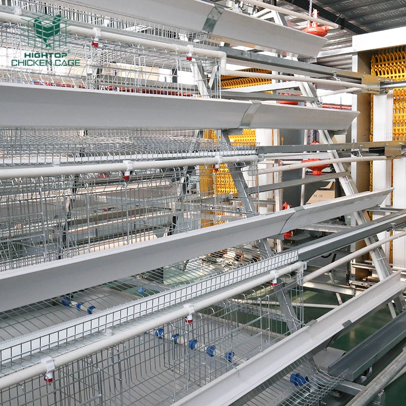 Hightop Fully Automatic Poultry Farm Equipment A Type 4Tier Laying Hens Chicken Big Cage Battery Cage With Drinking System