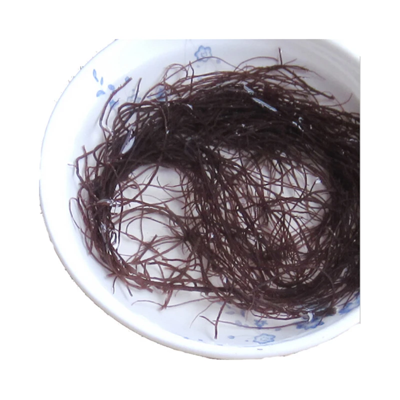Wholesale Natural Simonfish Amsterdam High Quality Bulk Good Price Dried Delicious Wildcrafted Sea Moss