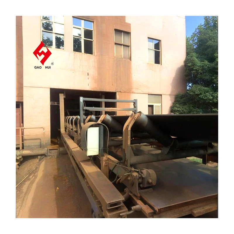 Customized Conveyor Belt Circuit Type Metal Detector for Coal Detecting Metals