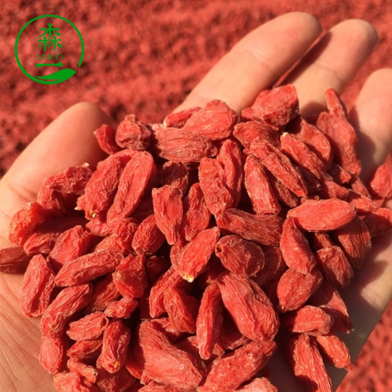 March Expo 2022 Promotion Biogro Certified Dehydrated Fruit Ningxia Goji Berry