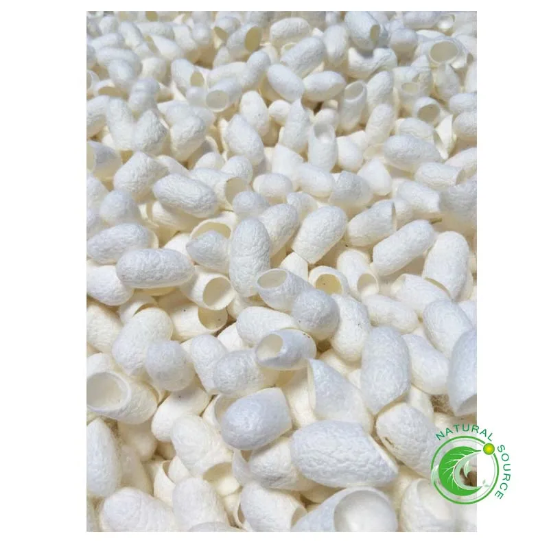 Natural Silk Protein Whole Silkworm Cocoon